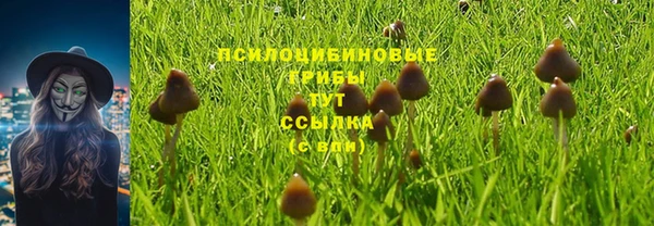 ALPHA PVP Балахна