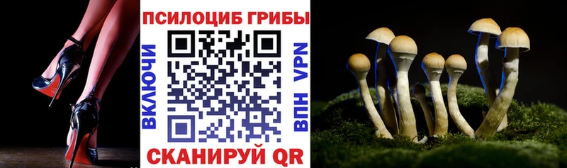 Псилоцибиновые грибы Psilocybe Верхотурье